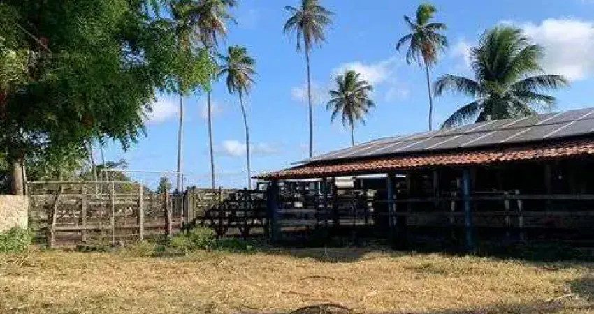 Chácara / sítio com 3 quartos à venda no Centro, Ceará-Mirim 