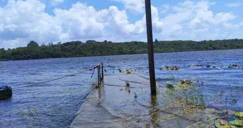 fazenda com 250 hectares bem estruturada e com uma localização perfeita para quais quer atividade