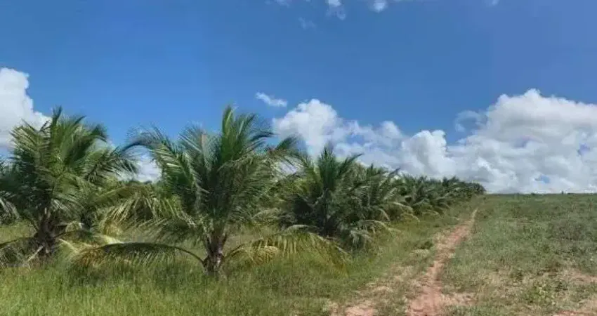 azenda com 40 hectares na região de ARÊS 1 km da BR101