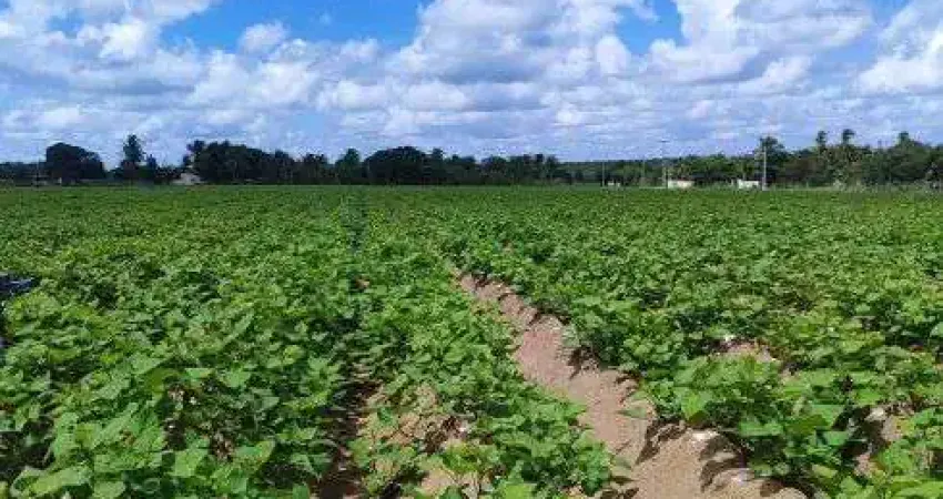 granja com 18 hectares na região de vera cruz 100% irrigada um luxo de terra