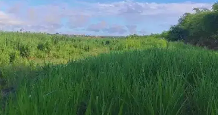 Excelente Fazenda com 55 hectares em São José de Mipibu frente para BR101