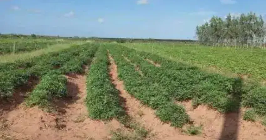 fazenda com 60 hectares próximo a santa luzia de touros