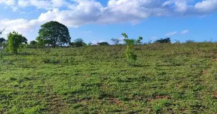 Fazenda com 300 hectares na região de Boa saúde cortada pelo rio Trairi boa de pasto e água