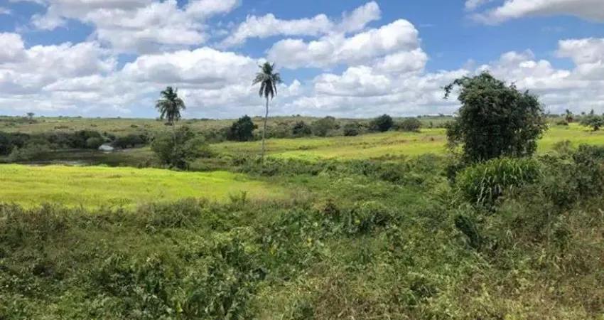 Fazenda com 590 hectares na região de Monte Alegre estruturada