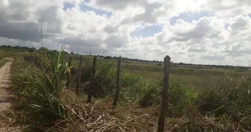 Excelente Fazenda com 95 hectares na região de vera cruz