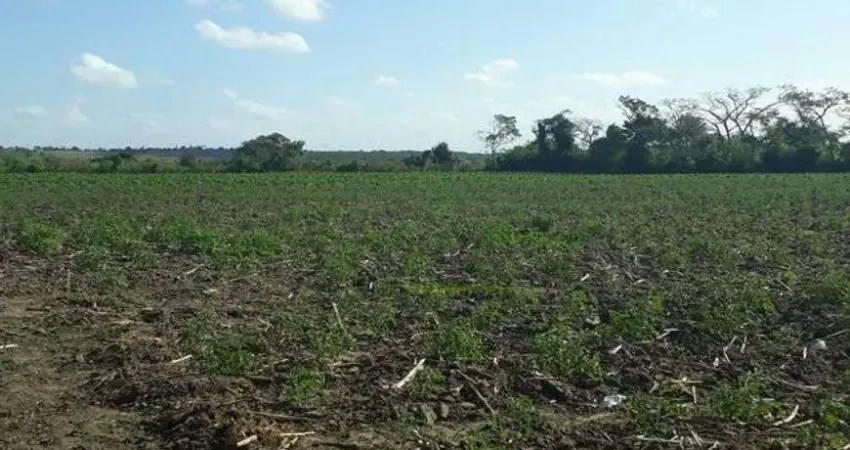 Fazenda em monte alegre com 20 hectares com o rio Trairi