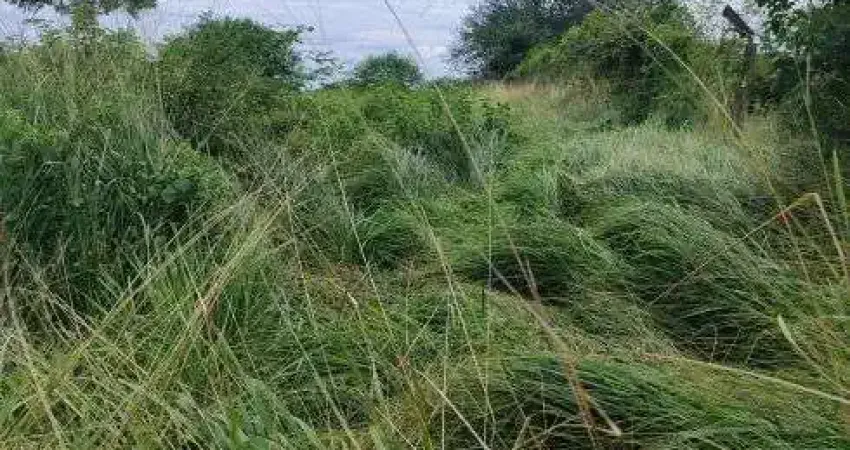fazenda com 270 hectares em Bom Jesus plantada com água