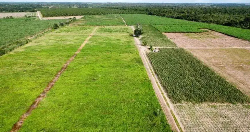 fazenda com 48 hectares no arena municipal de São José de Mipibu-RN terra excelente