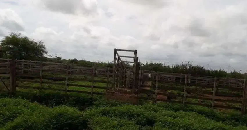 Linda Fazenda com 500 hectares na região de Parazinho com projeto de 9 torres eólica