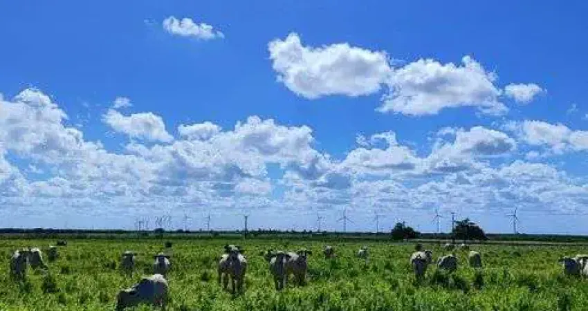 Fazenda de porteira fechada com 75 hectares com 2 casas cural piquete irrigado 83 nelore etc.