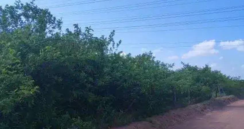 fazenda com 1.196 hectares em Parazinho com grande potencial para agricultura