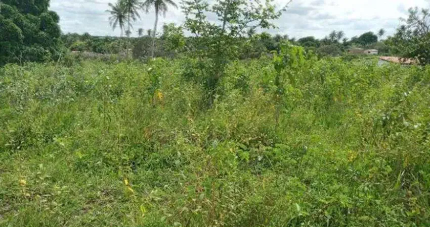 Fazenda com 200 hectares na região de São Gonçalo do Amarante
