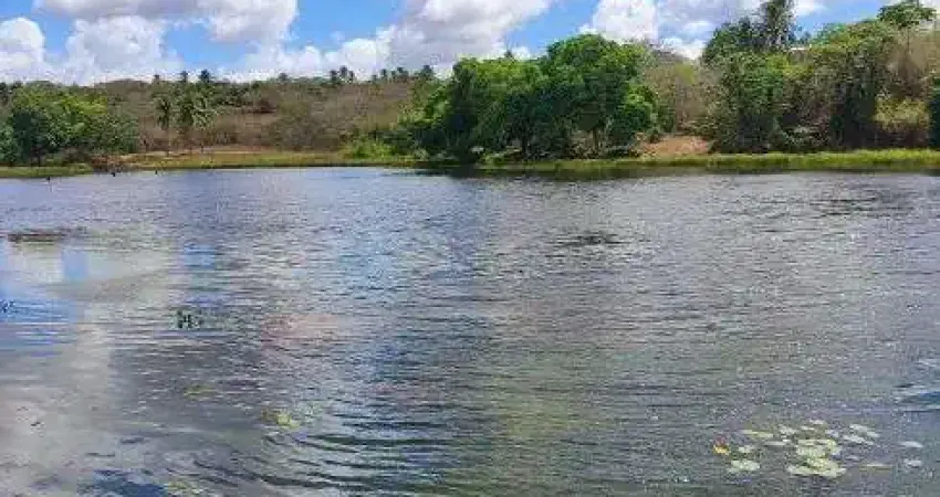 fazenda com 150 hectares na região de Pedro velho riquíssima em água