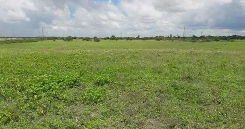 Chácara / sítio com 3 quartos à venda no Centro, Monte Alegre 