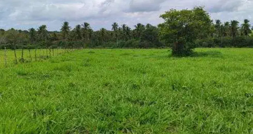 fazenda com 1.000 hectares de porteira fechada na região de vera cruz grande natal