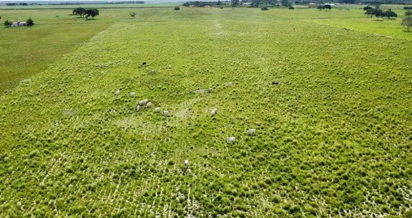 fazenda com 142 hectares na região de Macaíba bastante estruturada