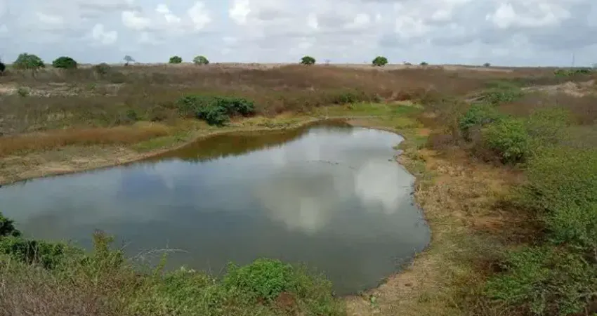 Fazenda com estrutura com 400 hectares na região de Macaíba