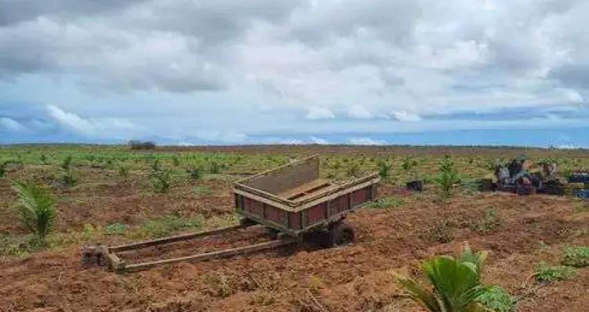 Fazenda/Sítio/Chácara para venda tem 2 metros quadrados em Centro - Touros - Rio Grande do Norte