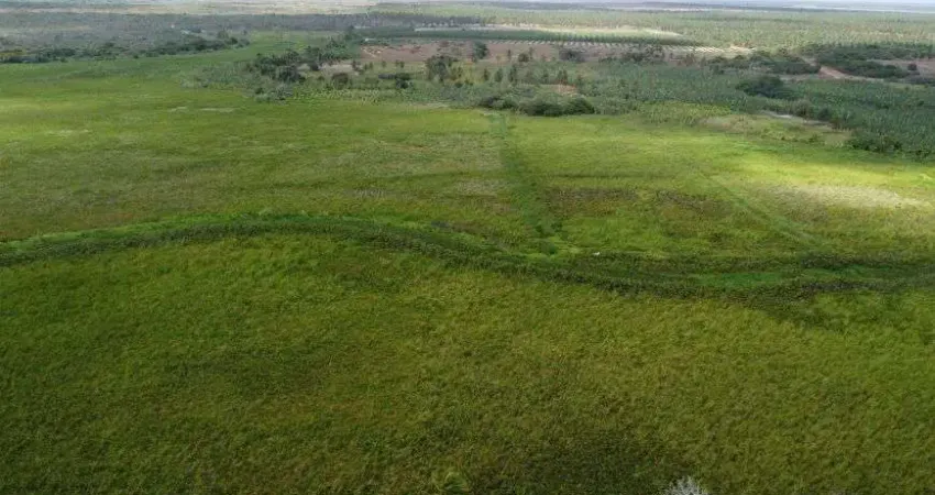 fazenda com 1.200 hectares na região de punau em rio do fogo terra excelente para plantação etc.