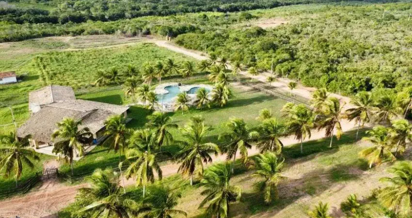 fazenda com 92 hectares de Dom Marcílio com 4.300 pés de coqueiros híbridos um luxo de estrutura