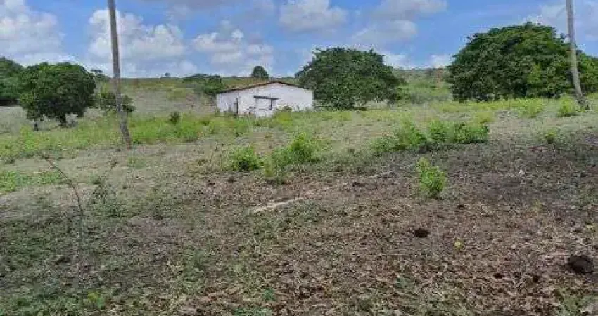 fazenda com 150 hectares na região de são Gonçalo do amarante