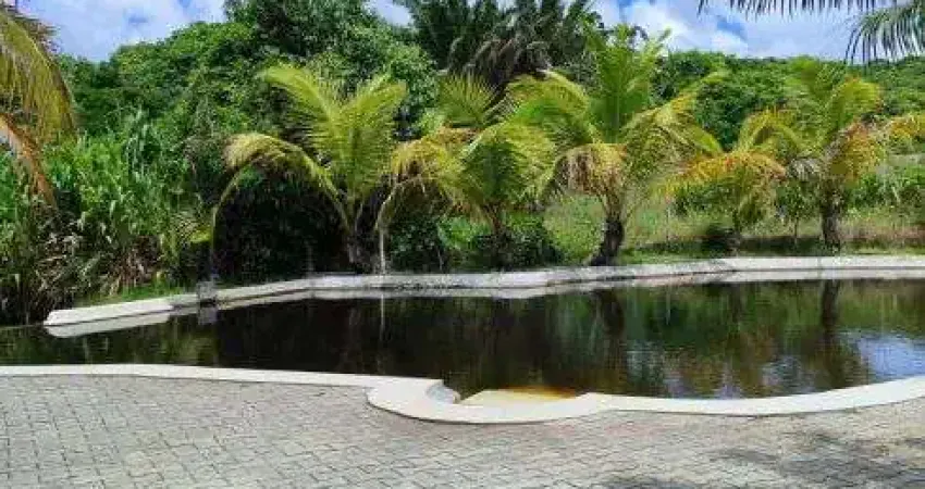 fazenda com 80 hectares entre Goianinha e Canguaretama um oásis de luxo