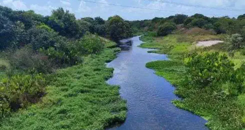 fazenda com253.4 hectares próximo a punau na região de rio do fogo na Br 101
