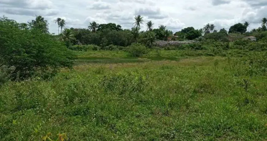 Fazenda com 200 hectares na região de São Gonçalo do Amarante