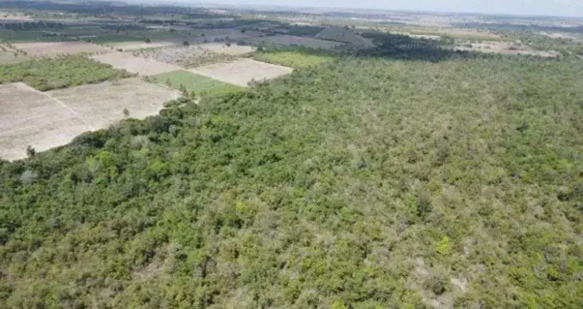 Excelente fazenda com 270 hectares próximo a Macaíba