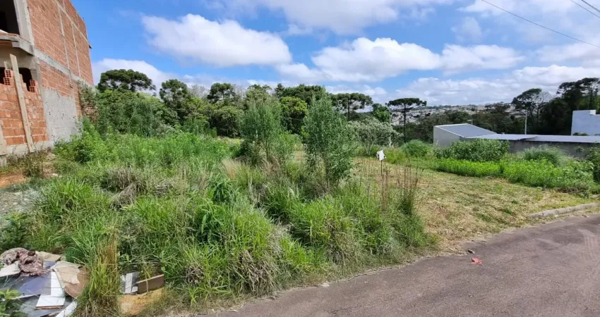 Terreno 160 m² na fazenda rio grande, bairro eucalipto, pronto para construir