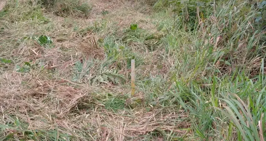 Terreno em condomínio fechado à venda na Rua 1, 40, Centro, Igaratá