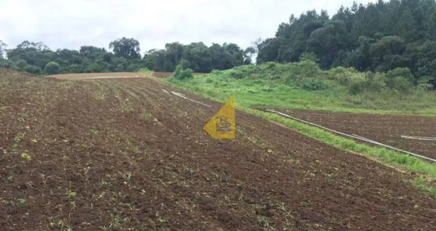 Terreno à venda no Capivari, Colombo 