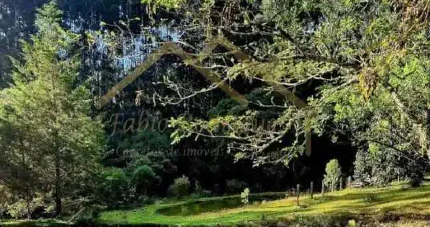Sítio para venda em rio negrinho, são pedro, 6 dormitórios, 3 banheiros