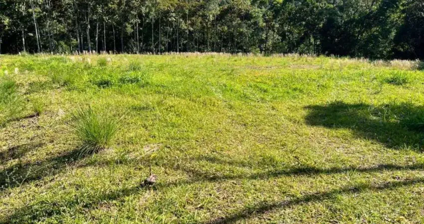 Chácara / sítio à venda na Rua Bairro alto Gasparinho, 00, Alto Gasparinho, Gaspar