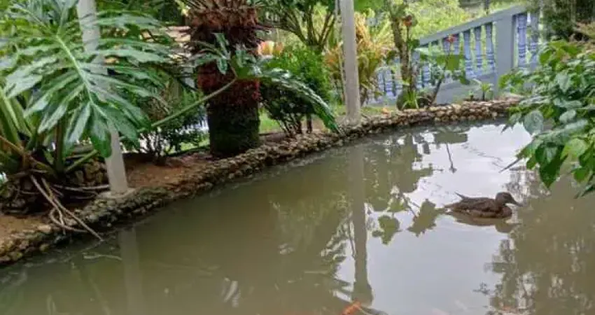 Sítio para venda em blumenau, progresso, 5 dormitórios, 2 banheiros, 2 vagas