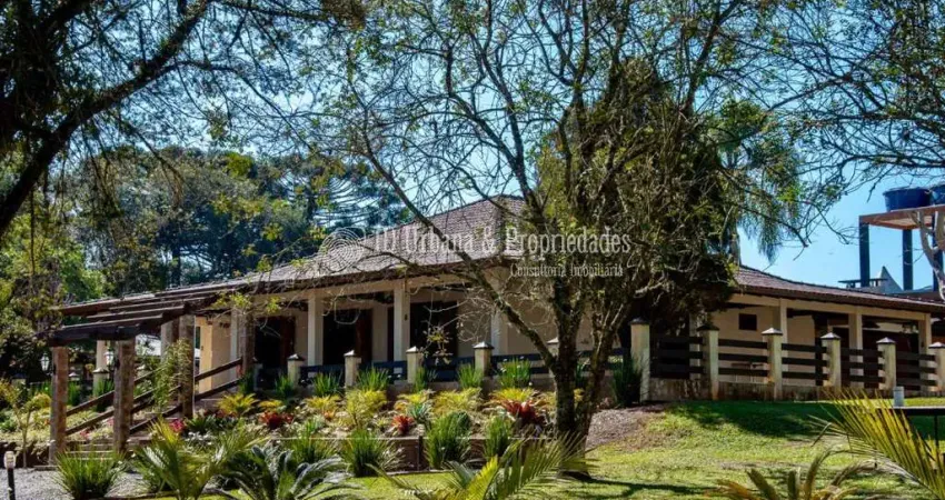 Sala comercial à venda na Loteamento Sao Geronimo, Ouro Verde, Campo Largo
