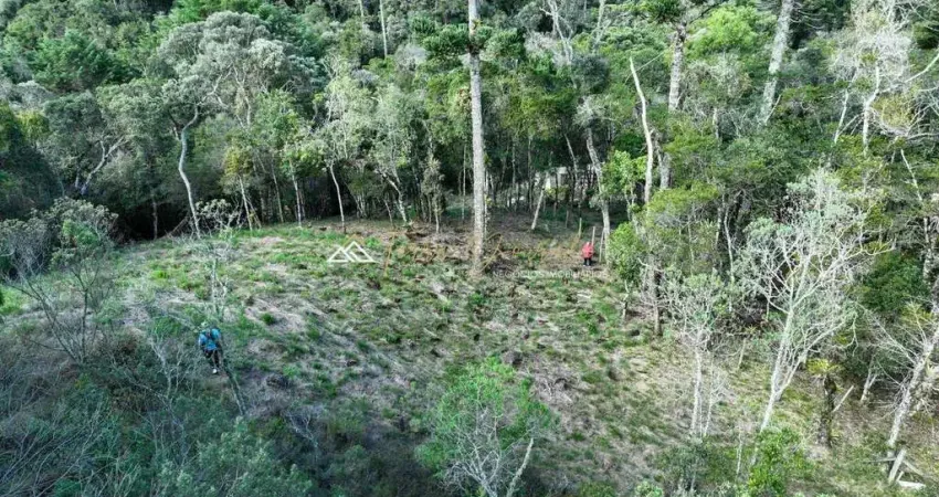 Terreno à venda na Av. Irineu Gongalves da Silva, 1788, Recanto Araucária, Campos do Jordão
