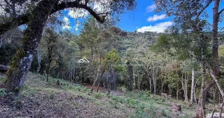 Terreno à venda na Av. Irineu Gonçalves da Silva, 1780, Recanto Araucária, Campos do Jordão