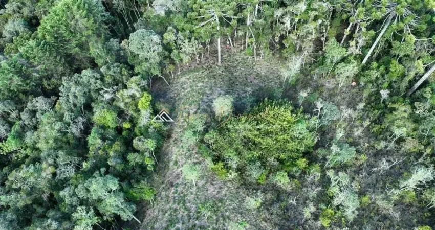 Terreno à venda na Av. Irineu Gonçalves da Silva, 1700, Recanto Araucária, Campos do Jordão