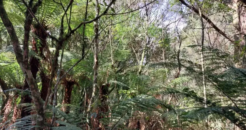 Excelente terreno c/ 413m2 de esquina para quem quer investir !!!