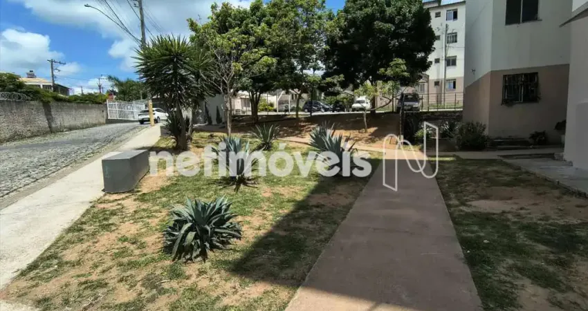 Apartamento com 2 quartos à venda na Rua Pau Brasil, Vila das Flores, Betim