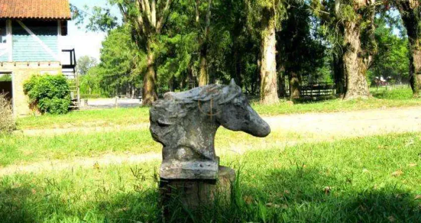 Terreno à venda na Avenida Edgar Pires de Castro, 5800, Lageado, Porto Alegre