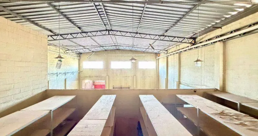 Galpão para alugar, 700 m² por R$ 11.500/mês - Jardim Maria Inez - Aparecida de Goiânia/GO