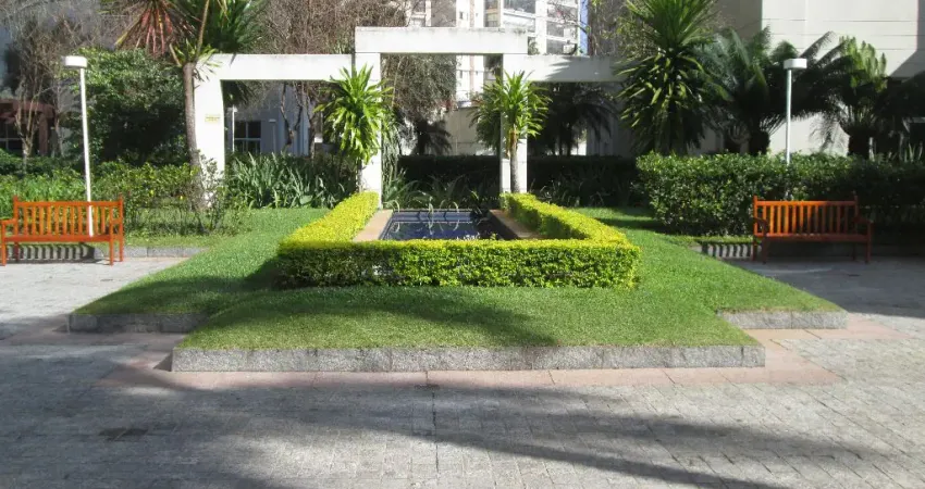 Lindíssimo apartamento tatuapé - rua tuiuti - parque piqueri