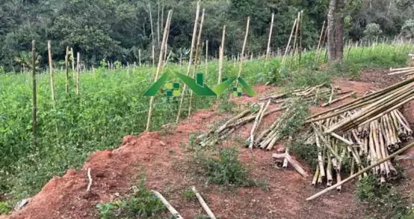 Chácara / sítio à venda no Suíço, Nova Friburgo
