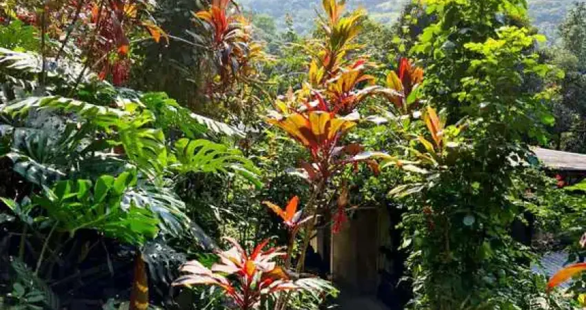 Casa com 6 quartos à venda na Rua Cleodon Furtado, 626, Vargem Grande, Rio de Janeiro