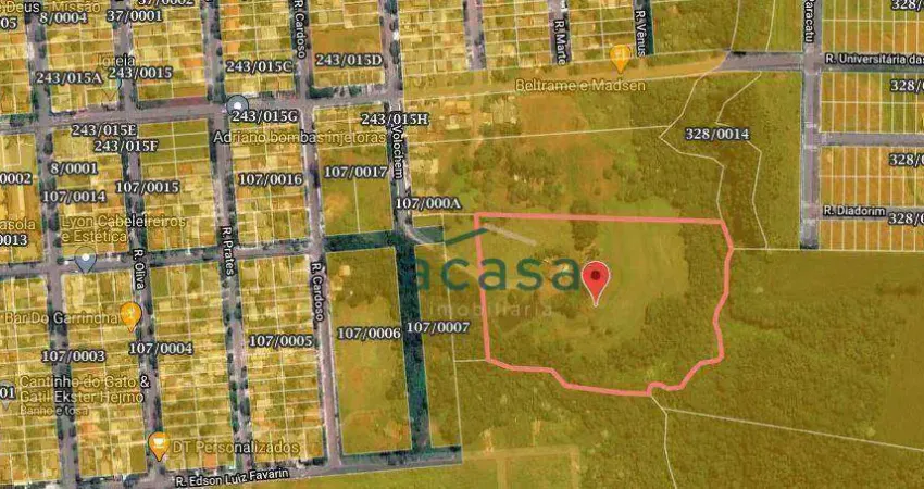 Chácara com 4 dormitórios à venda, 39921 m² - Universitário - Cascavel/PR