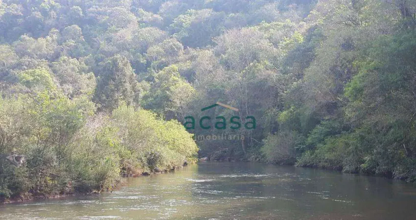 Sítio à venda, 54000 m² por R$ 700.000,00 - Zona Rural  - Catanduvas/PR