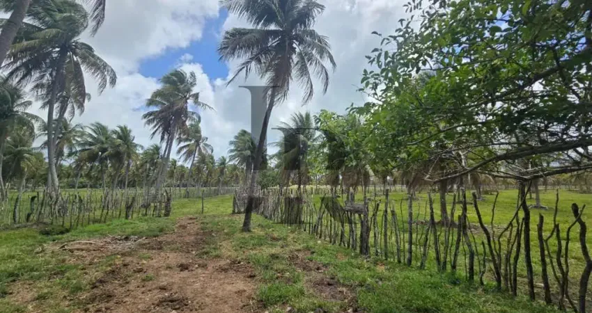 Área com 32 hectares, estrada pium nísia floresta - rn oportunidade única para investidores!