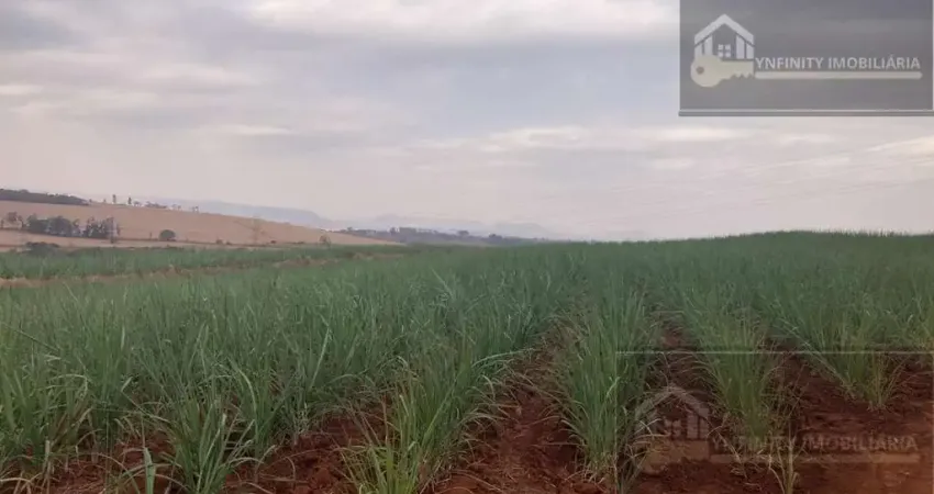 Fazenda à venda no Centro, Patrocínio Paulista